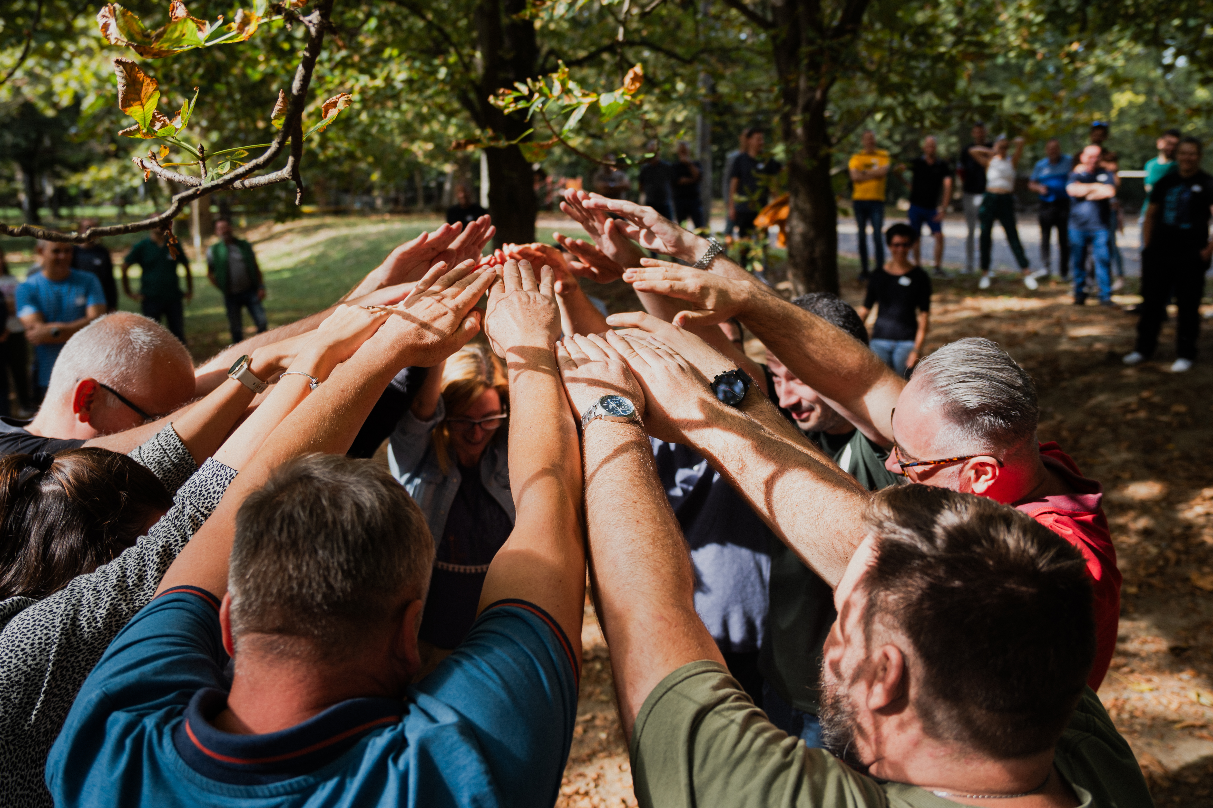 PC Trade Systems Kft. - galéria 14